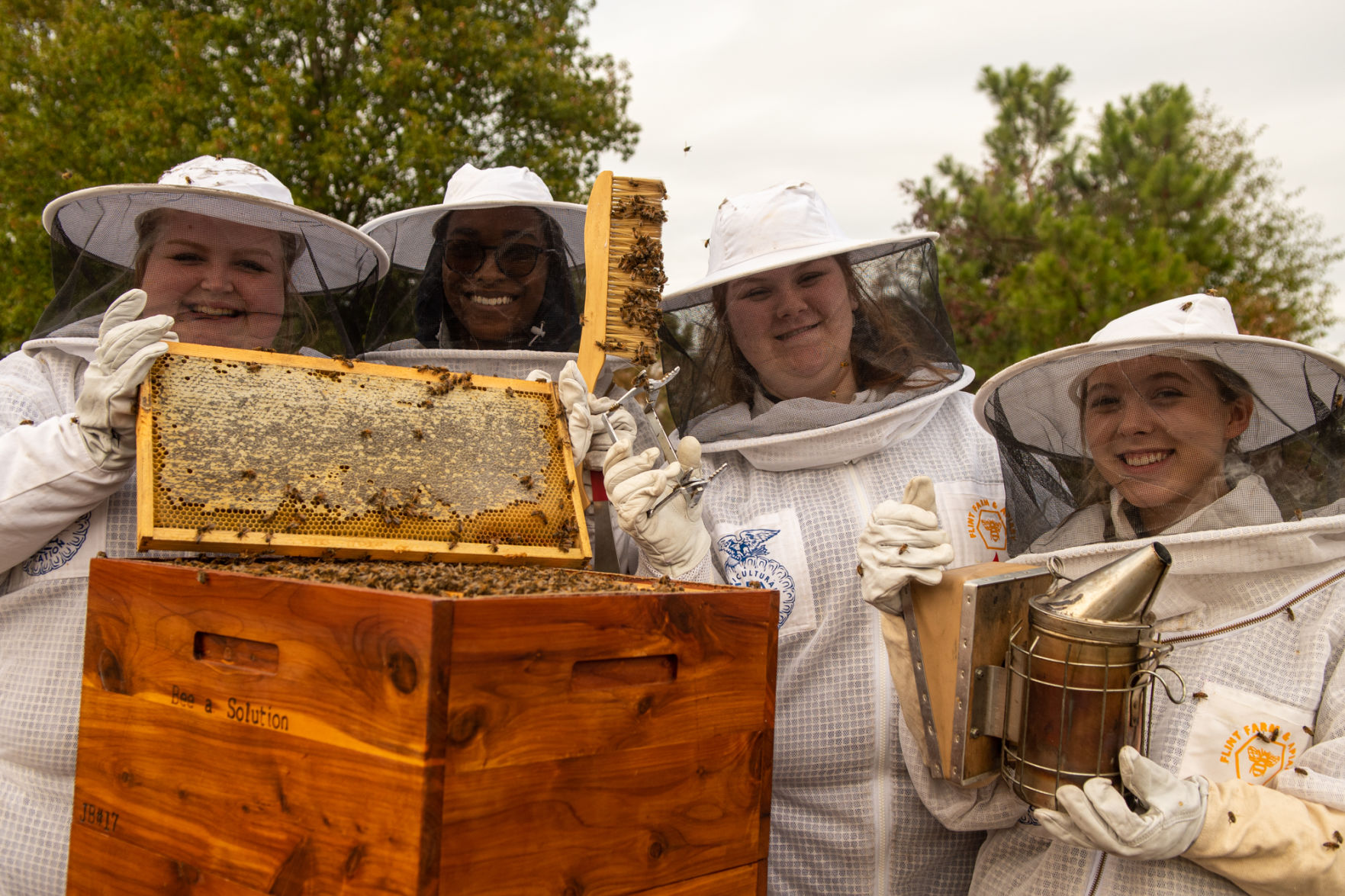 11172019_local_bees-10.jpg